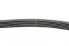Пасок поліклиновий 6PK888/890 continental 6PK890