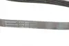 Пасок поліклиновий 6PK888/890 continental 6PK890