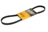 Пасок поліклиновий BMW 3 (E46) 01-05, X3 (E83) 04- Fiat Stilo (192) 01-08 continental 4 PK 896 ELAST