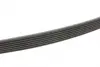 Пасок поліклиновий Ford Transit 300/460 2.4TDCI 06- Continental 7PK2682 (фото 2)