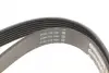 Пасок поліклиновий Ford Transit 300/460 2.4TDCI 06- Continental 7PK2682 (фото 3)