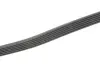 Поклиновий ремень Continental 6PK1124ELAST (фото 3)