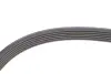 Поклиновий ремень continental 6PK1157EXTRA