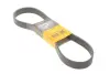 Поклиновий ремень continental 8PK954EXTRA