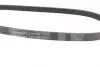 Поликлиновой ремень (Пр-во Contitech) continental 5PK880