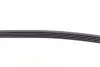 Поликлиновой ремень (Пр-во Contitech) continental 5PK880