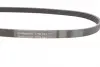 Поликлиновой ремень (Пр-во Contitech) continental 5 PK 884