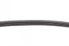 Поликлиновой ремень (Пр-во Contitech) continental 5 PK 884