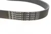 Поликлиновой ремень (Пр-во Contitech) continental 7PK1325