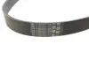 Поликлиновой ремень (Пр-во Contitech) continental 7PK1325