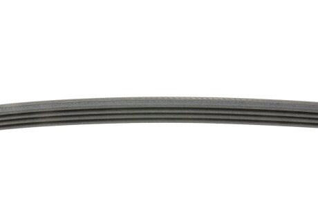 Привідний ремінь генератора continental 4PK750