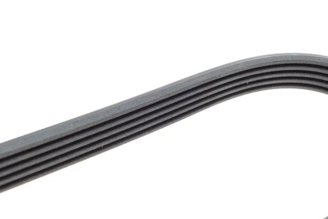 Привідний ремінь генератора continental 5PK1450