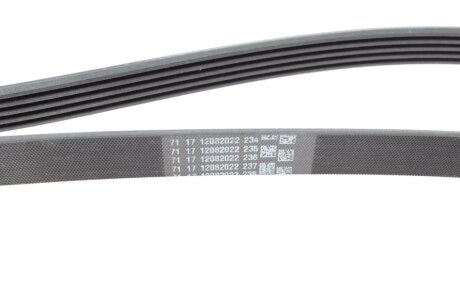 Привідний ремінь генератора continental 5PK1450