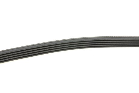 Привідний ремінь генератора continental 5PK869