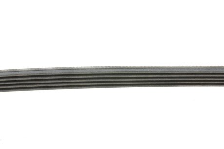 Привідний ремінь генератора continental 5PK985