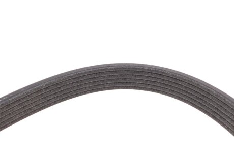 Привідний ремінь генератора continental 6DPK1817