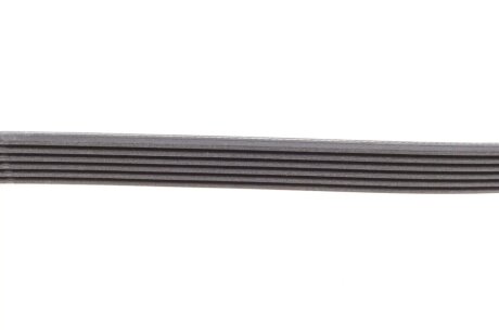 Привідний ремінь генератора continental 6PK1185