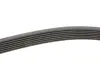 Р РµРјС–РЅСЊ РїРѕР»С–РєР»РёРЅРѕРІРёР№ continental 7PK1335