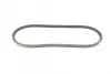 Ремень генератора 13x 850 Lanos/Civic/Mazda 323/Camry/Corolla -01 continental AVX13x850