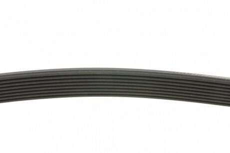 Привідний ремінь генератора continental 8PK1390