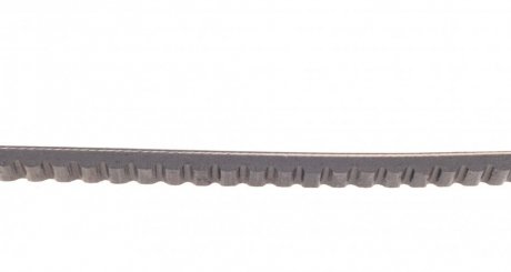 Привідний ремінь генератора continental AVX13x1325