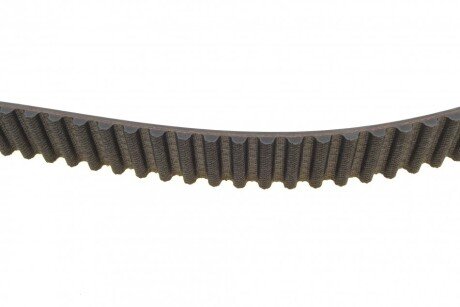 Ремень ГРМ Conti continental CT899