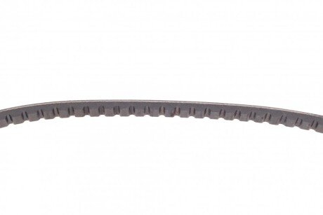 Привідний ремінь генератора continental 11,9X793LD