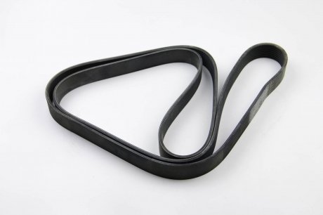 Привідний ремінь генератора continental 8PK2080