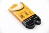 Привідний ремінь генератора continental 4PK1102ELAST