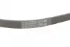Ремень поликлиновой Conti continental 4PK1125