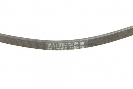 Привідний ремінь генератора continental 4PK1310