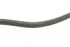 Ремень поликлиновой Conti continental 4PK1310