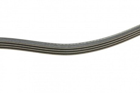 Привідний ремінь генератора continental 4PK1310