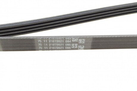 Привідний ремінь генератора continental 4PK1590