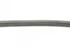 Ремень поликлиновой Conti continental 4PK753ELAST