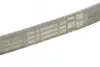 Ремень поликлиновой Conti continental 4PK753ELAST