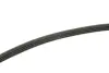 Ремень поликлиновой Conti continental 4PK770