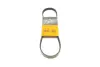 Ремень поликлиновой Conti continental 4PK770