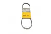Ремень поликлиновой Conti continental 4PK790