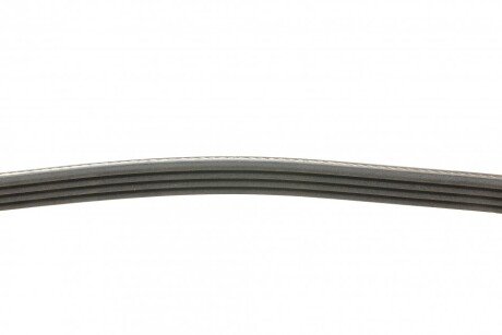 Приводной ремень генератора continental 4PK795