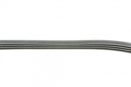 Привідний ремінь генератора continental 4PK826ELAST