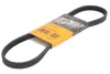 Ремень поликлиновой Conti continental 4PK830ELAST