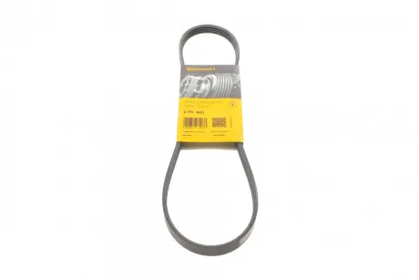 Ремень поликлиновой Conti Continental 4PK845