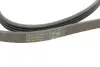 Ремень поликлиновой Conti continental 4PK860ELAST