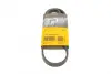 Ремень поликлиновой Conti continental 4PK860ELAST