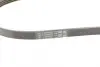 Ремень поликлиновой Conti continental 4 PK 890