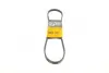 Ремень поликлиновой Conti continental 4PK900