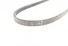 Ремень поликлиновой Conti continental 4 PK 903 ELAST