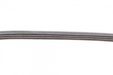 Привідний ремінь генератора continental 4PK903ELAST