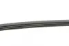 Ремень поликлиновой Conti continental 4 PK 905